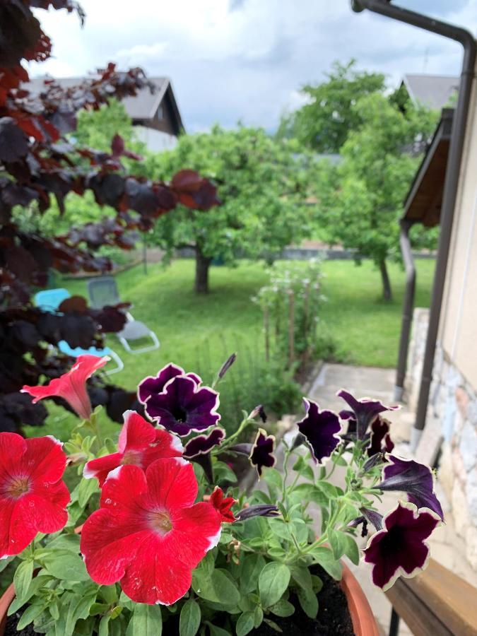 Willa House Amalia Bled Zewnętrze zdjęcie